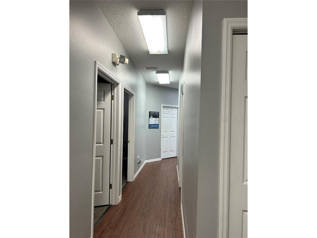 10921 Countryway Boulevard Tampa FL 33626 TB8427782 image13