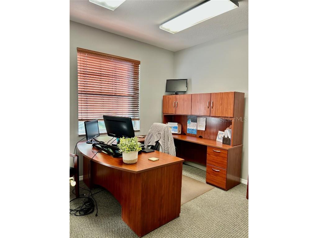 10921 Countryway Boulevard Tampa FL 33626 TB8427782 image4