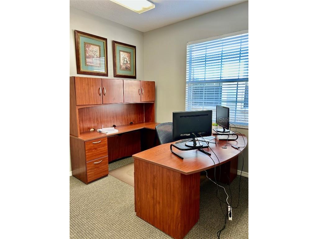 10921 Countryway Boulevard Tampa FL 33626 TB8427782 image5