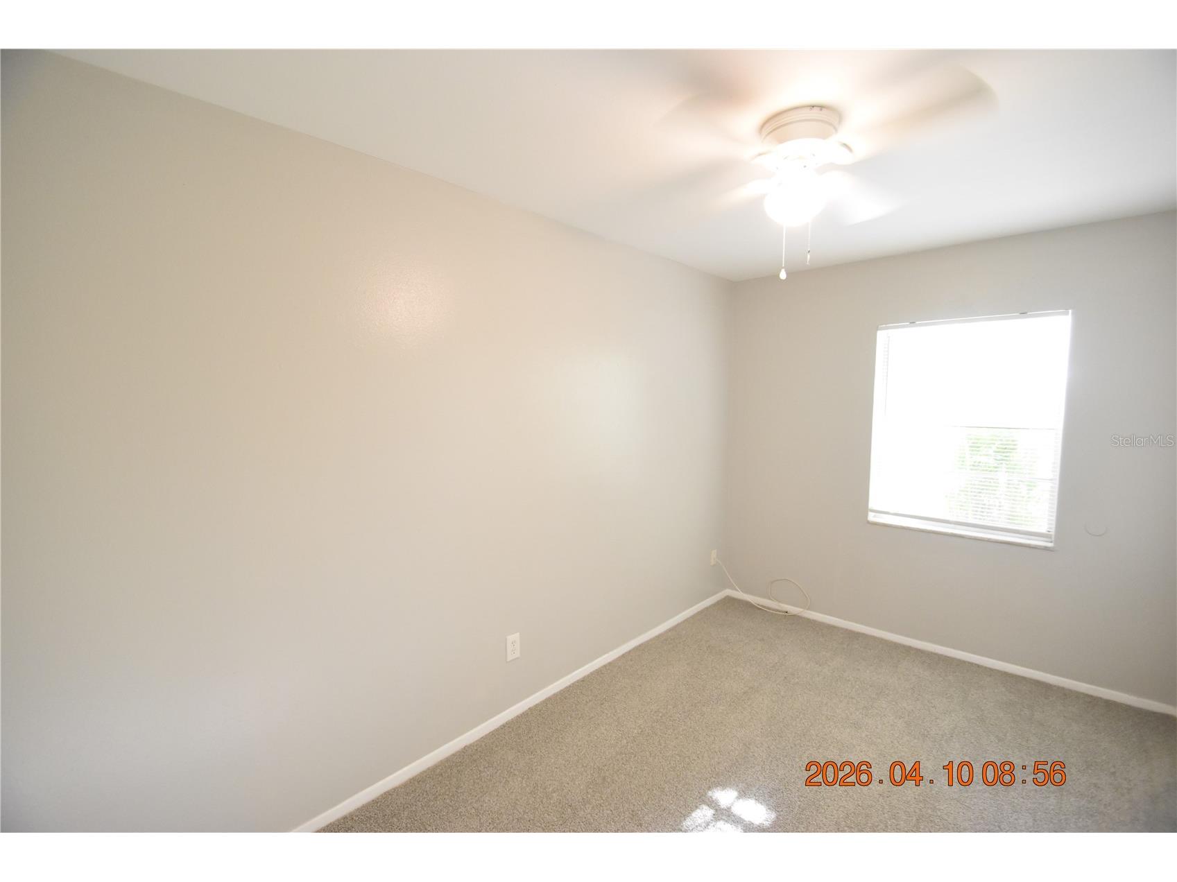 10922 N Hyacinth Avenue Tampa FL 33612 TB8497185 image26