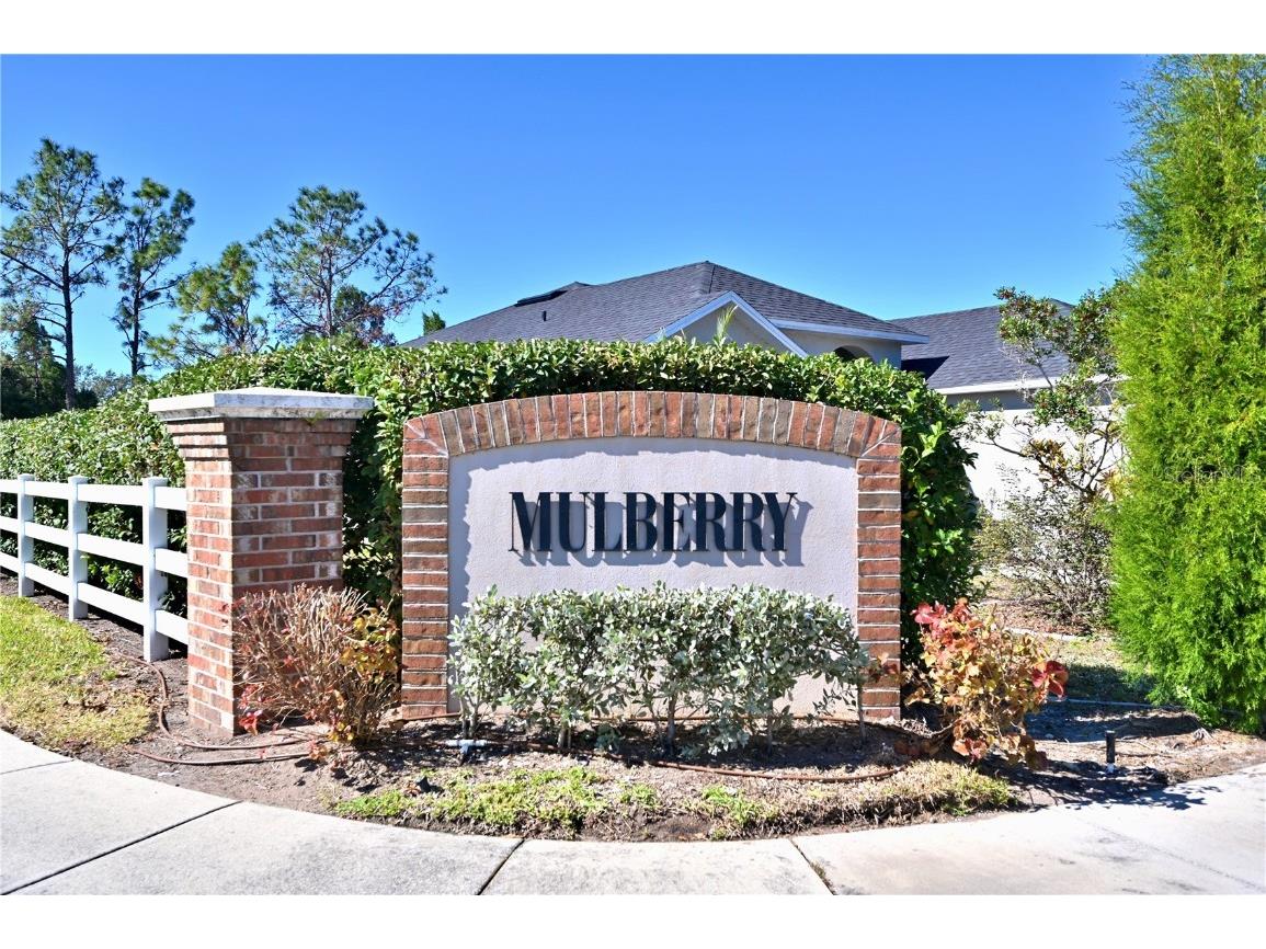 10922 Subtle Trail Drive Riverview FL 33579 O6361883 image26