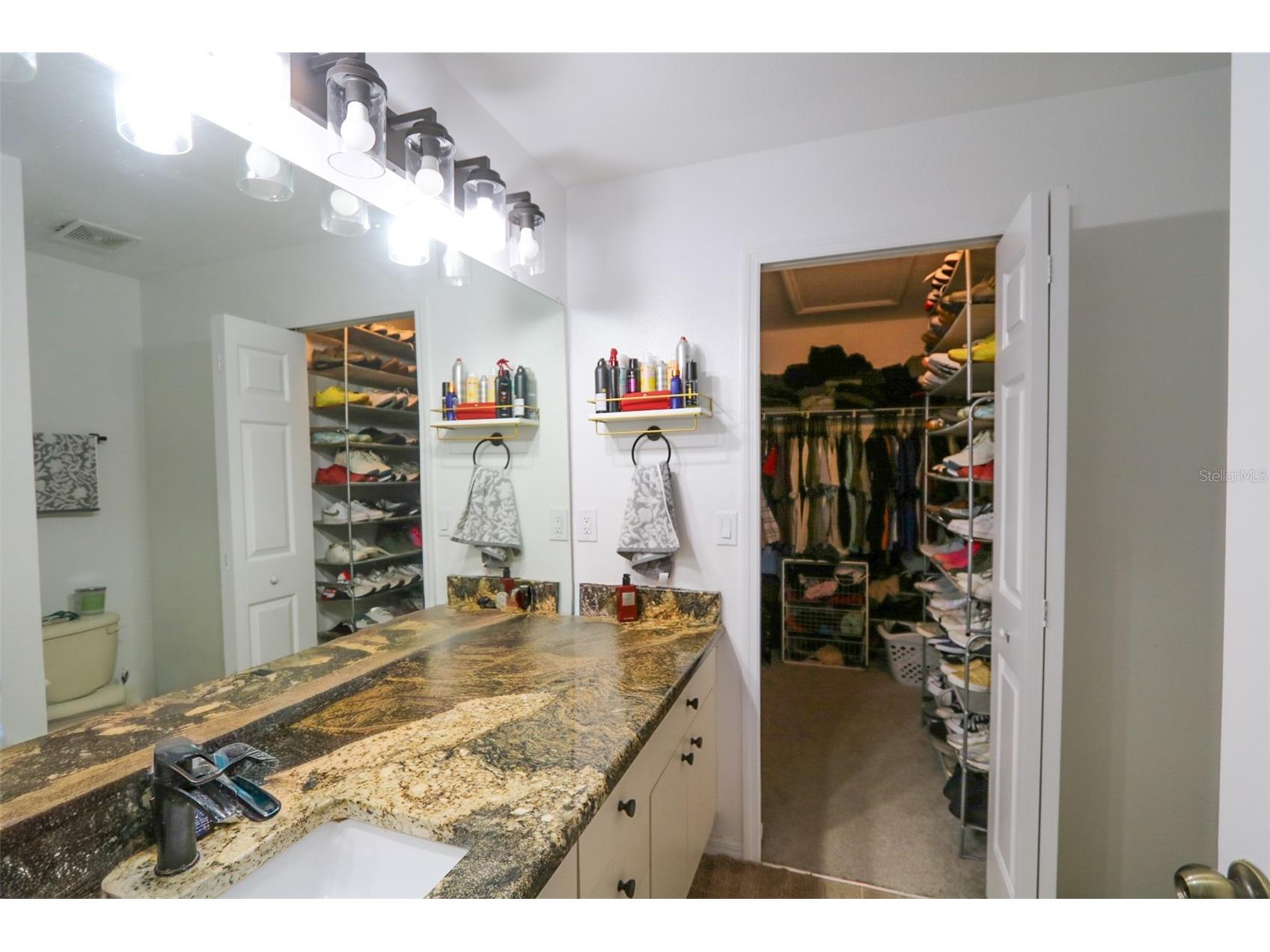 10922 Winter Crest Drive Riverview FL 33569 TB8507109 image11