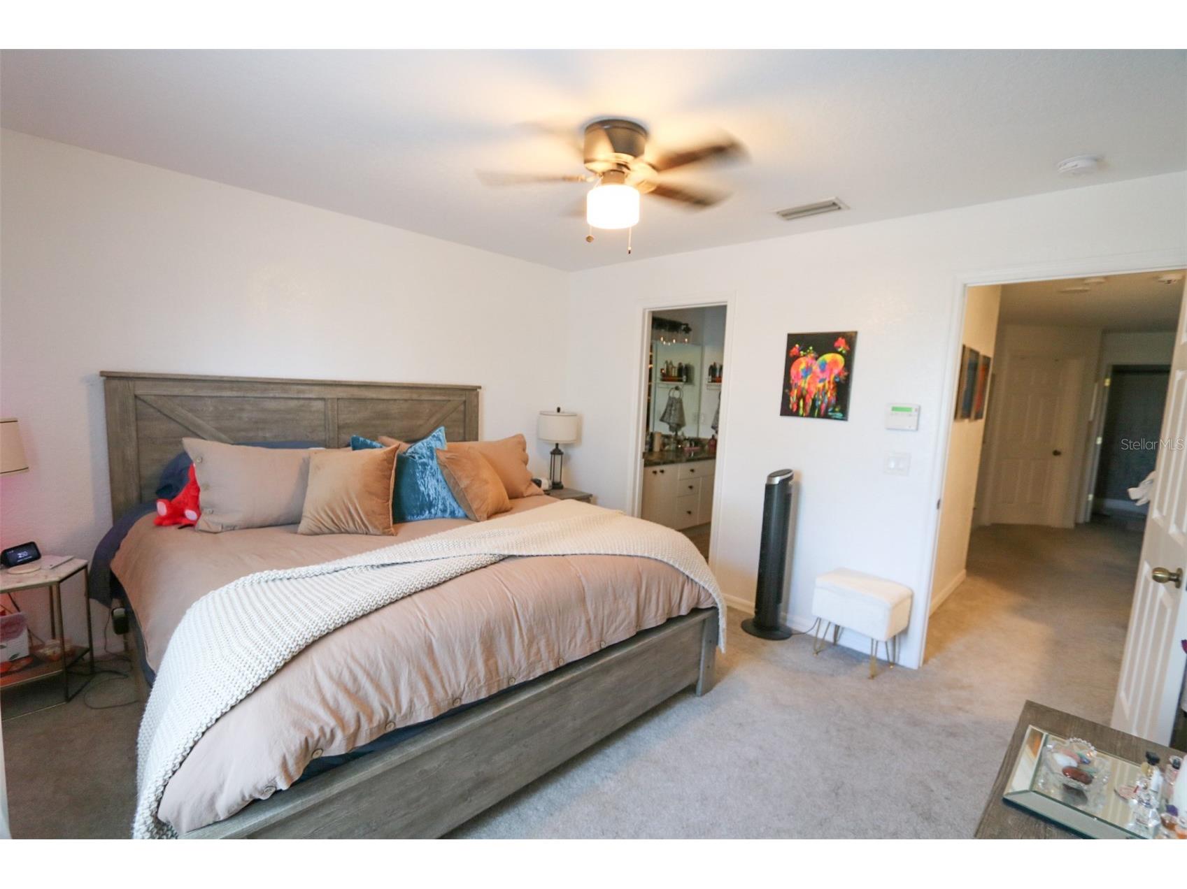 10922 Winter Crest Drive Riverview FL 33569 TB8507109 image13