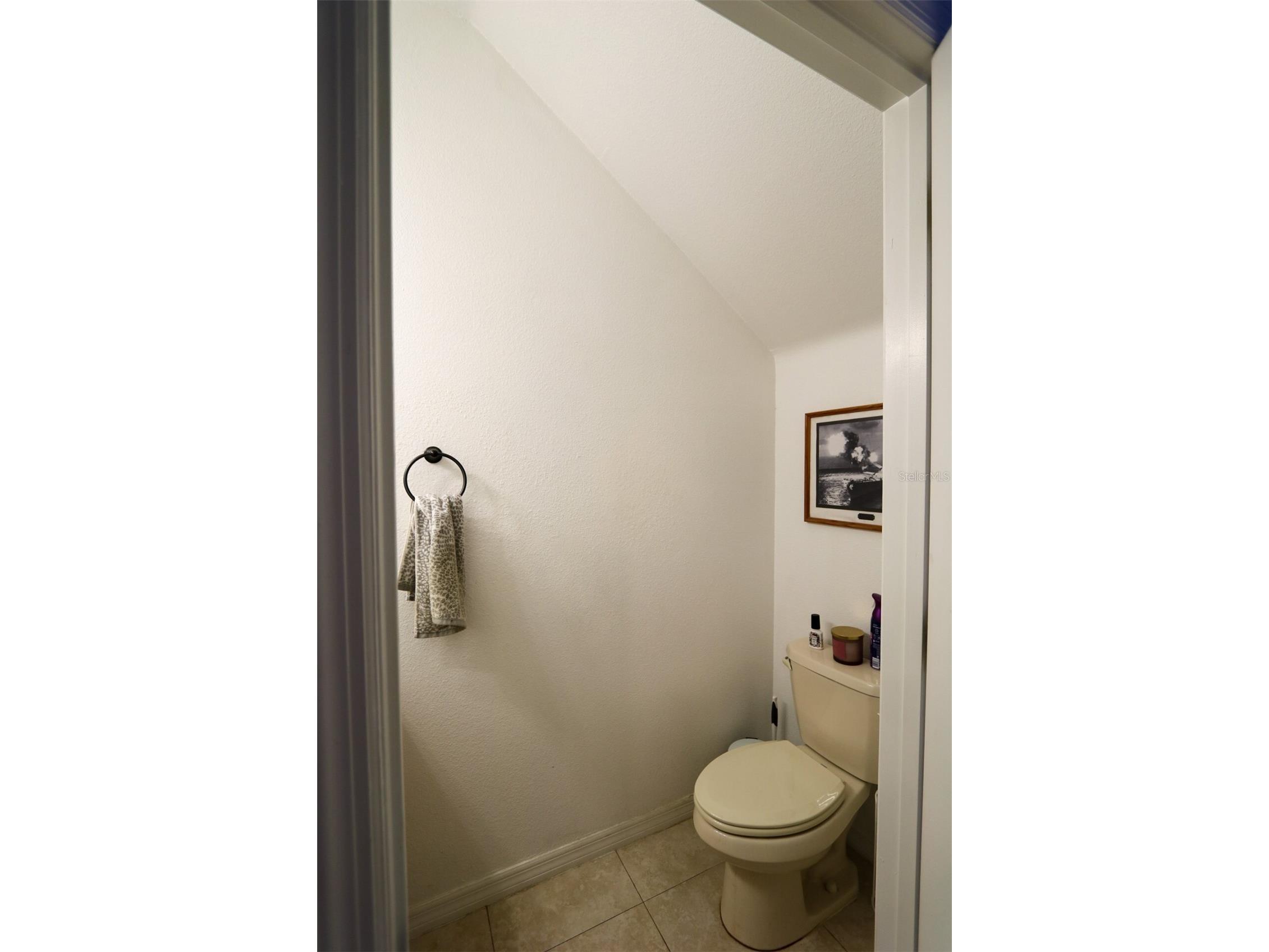 10922 Winter Crest Drive Riverview FL 33569 TB8507109 image8