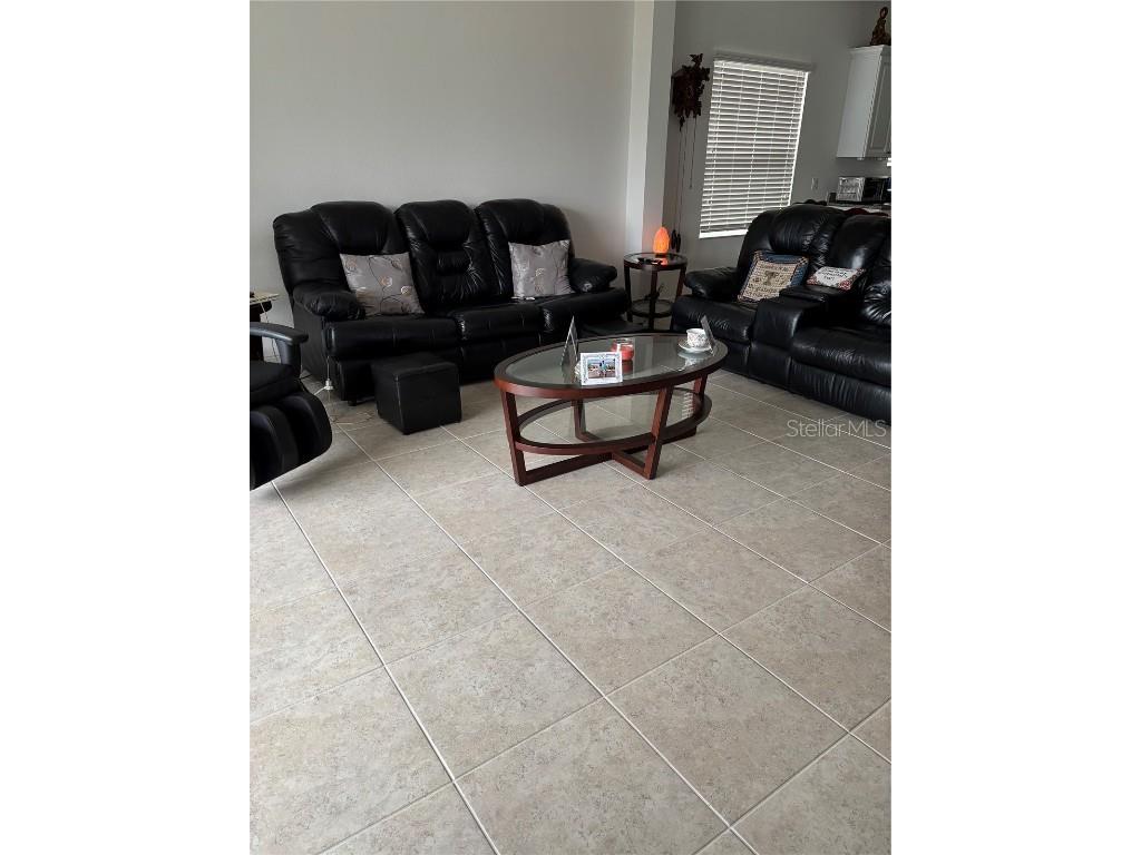 10923 Blue Magnolia Lane Parrish FL 34219 A4637178 image13