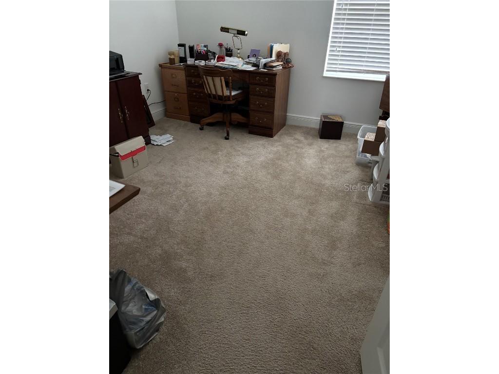 10923 Blue Magnolia Lane Parrish FL 34219 A4637178 image19