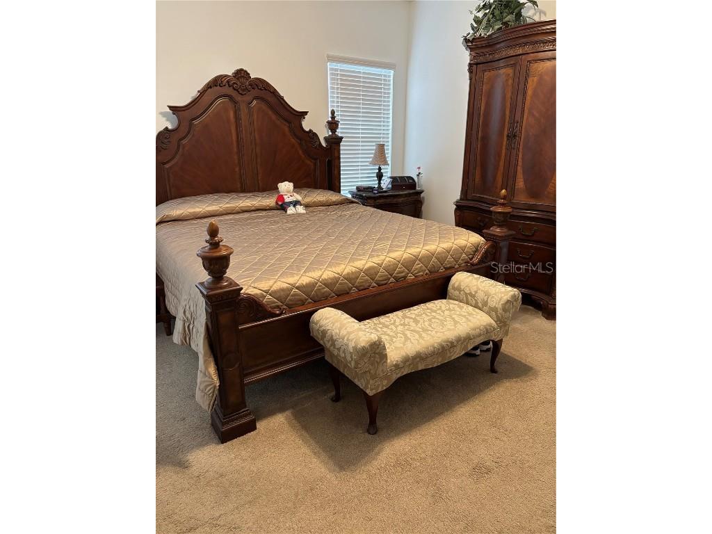 10923 Blue Magnolia Lane Parrish FL 34219 A4637178 image20