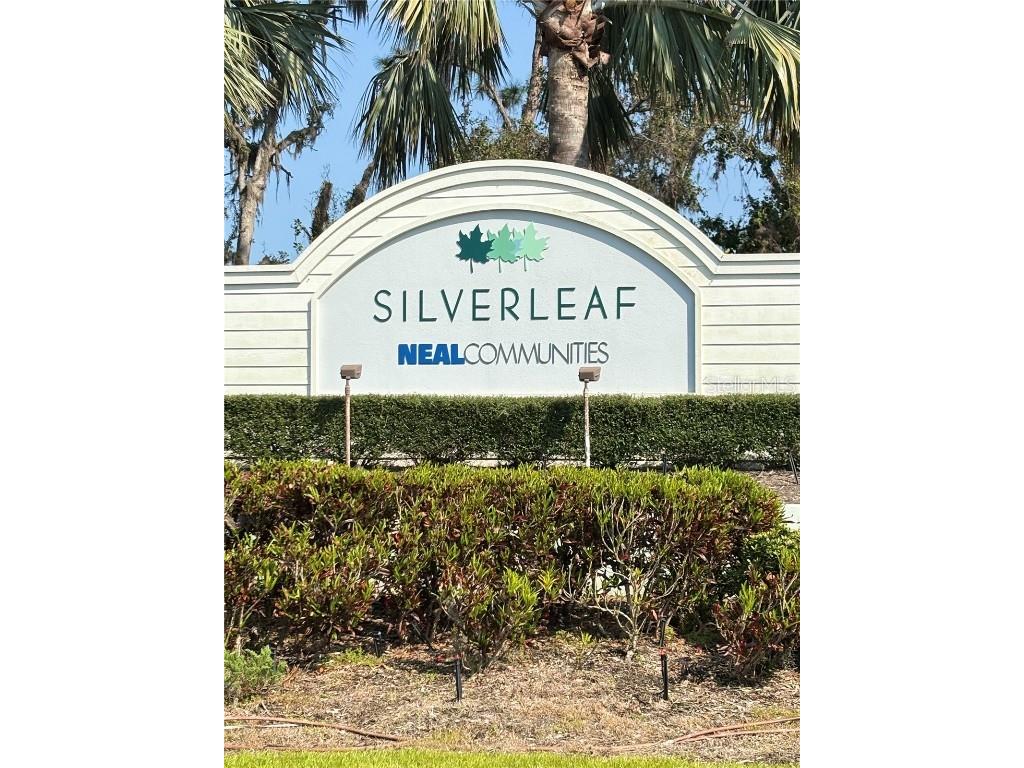 10923 Blue Magnolia Lane Parrish FL 34219 A4637178 image28