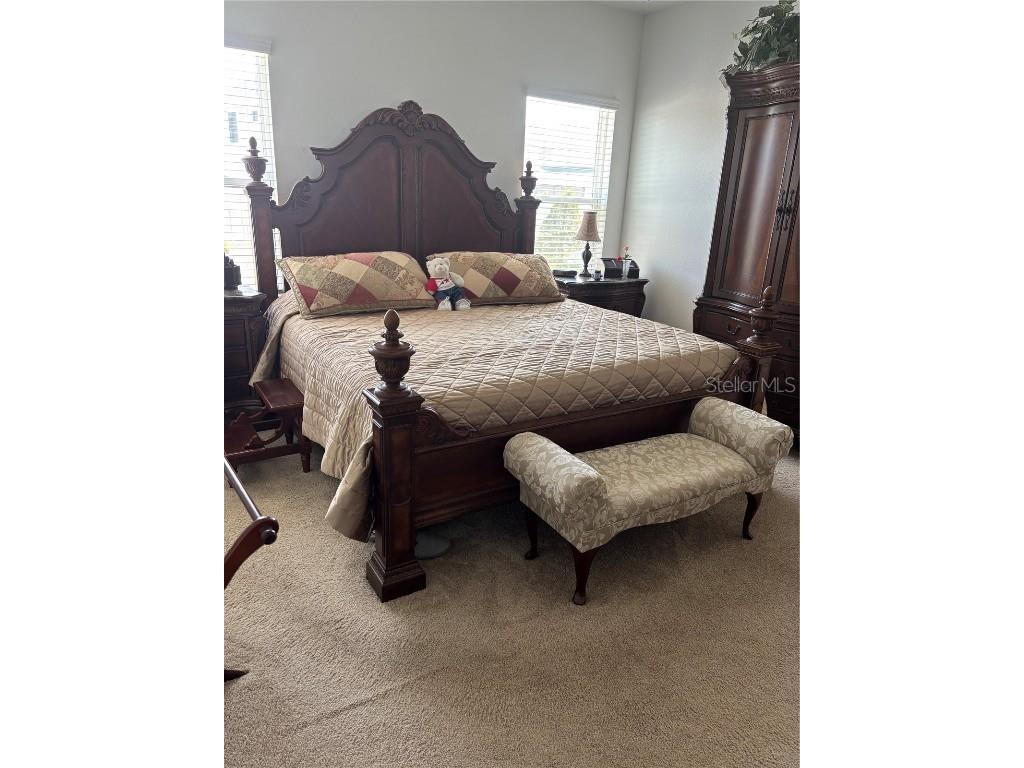 10923 Blue Magnolia Lane Parrish FL 34219 A4637178 image31