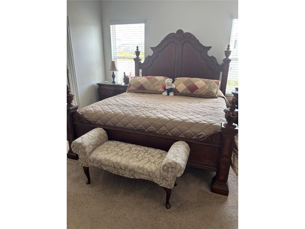 10923 Blue Magnolia Lane Parrish FL 34219 A4637178 image32