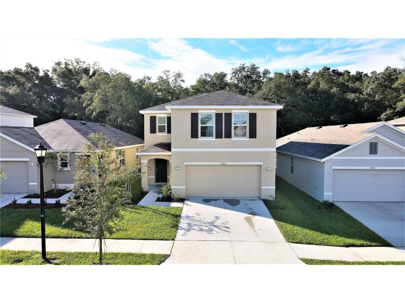 10923 Trailing Vine Drive Tampa FL 33610 T3337736 image1
