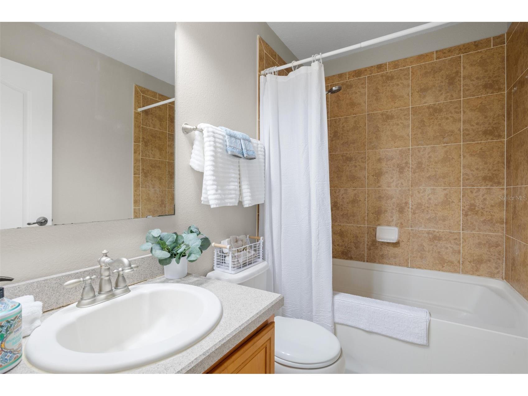 10924 Johanna Avenue Riverview FL 33578 TB8509390 image28
