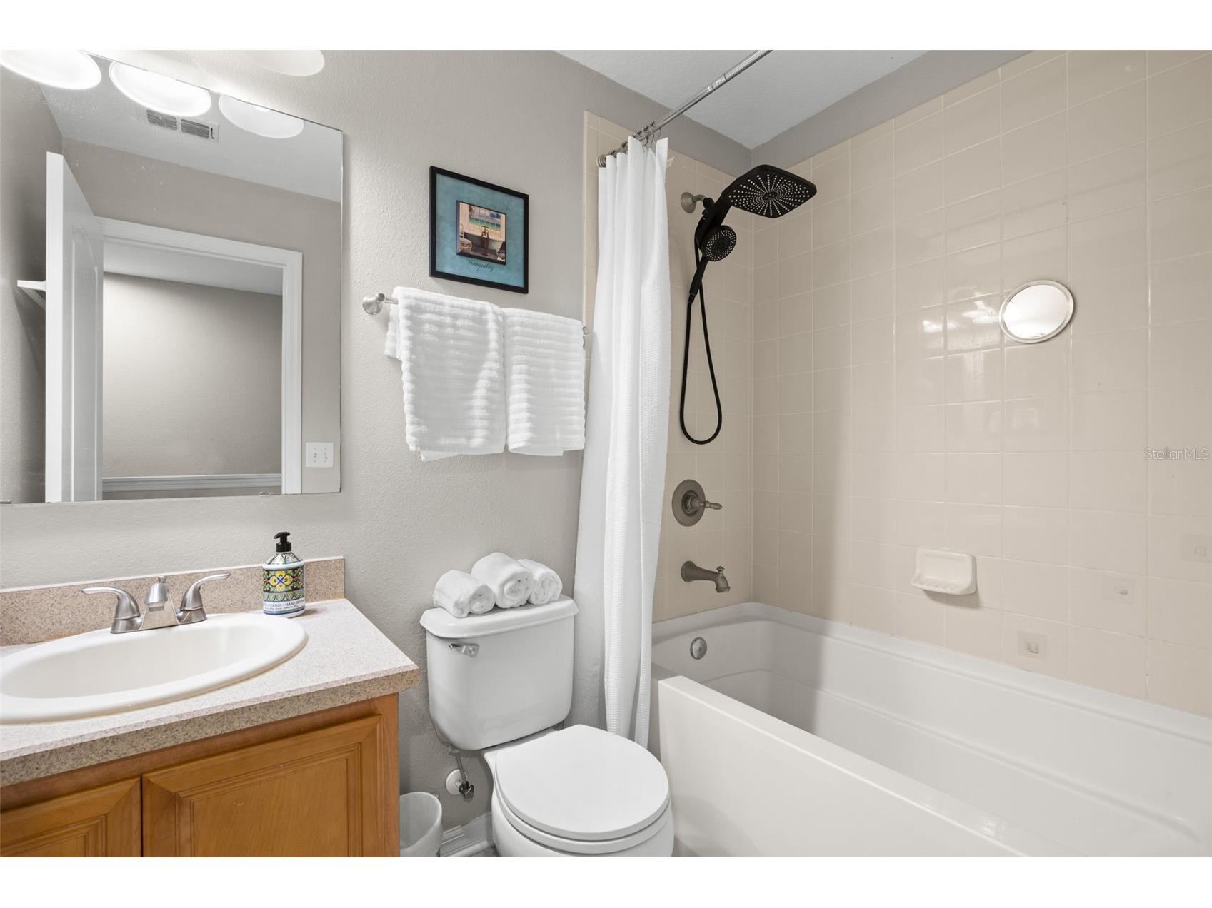 10924 Johanna Avenue Riverview FL 33578 TB8509390 image33