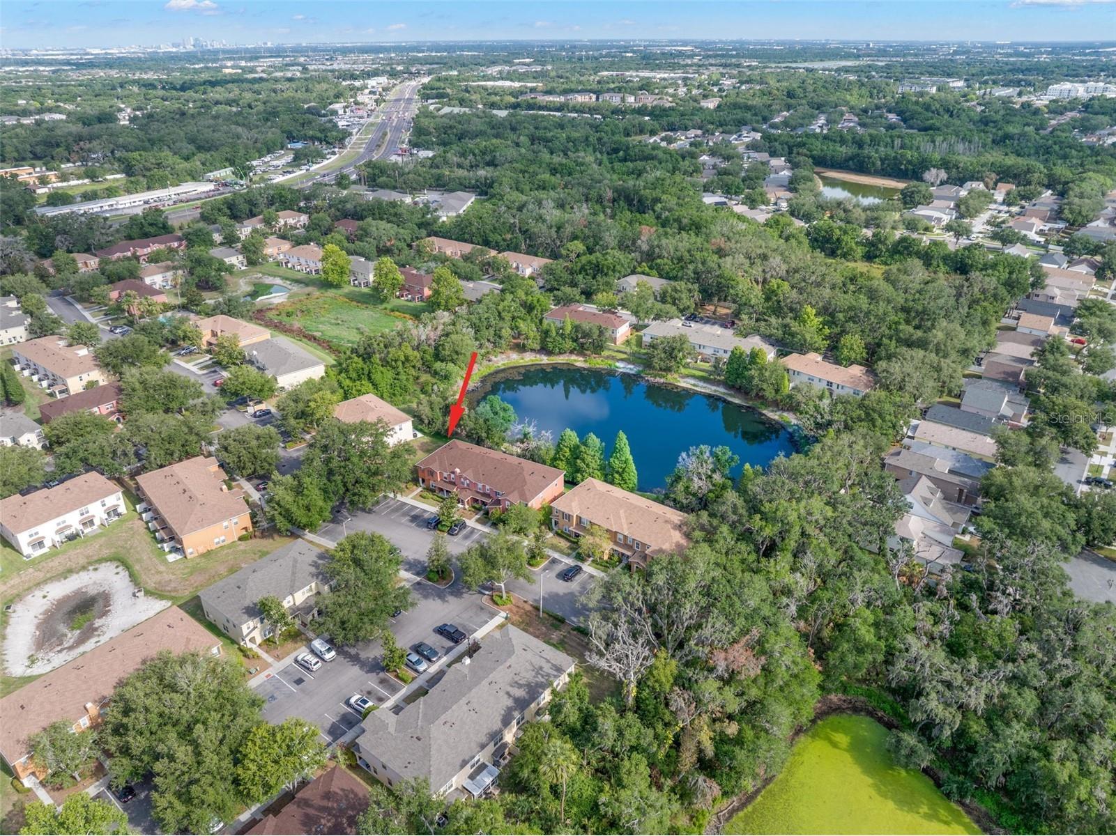 10924 Johanna Avenue Riverview FL 33578 TB8509390 image42
