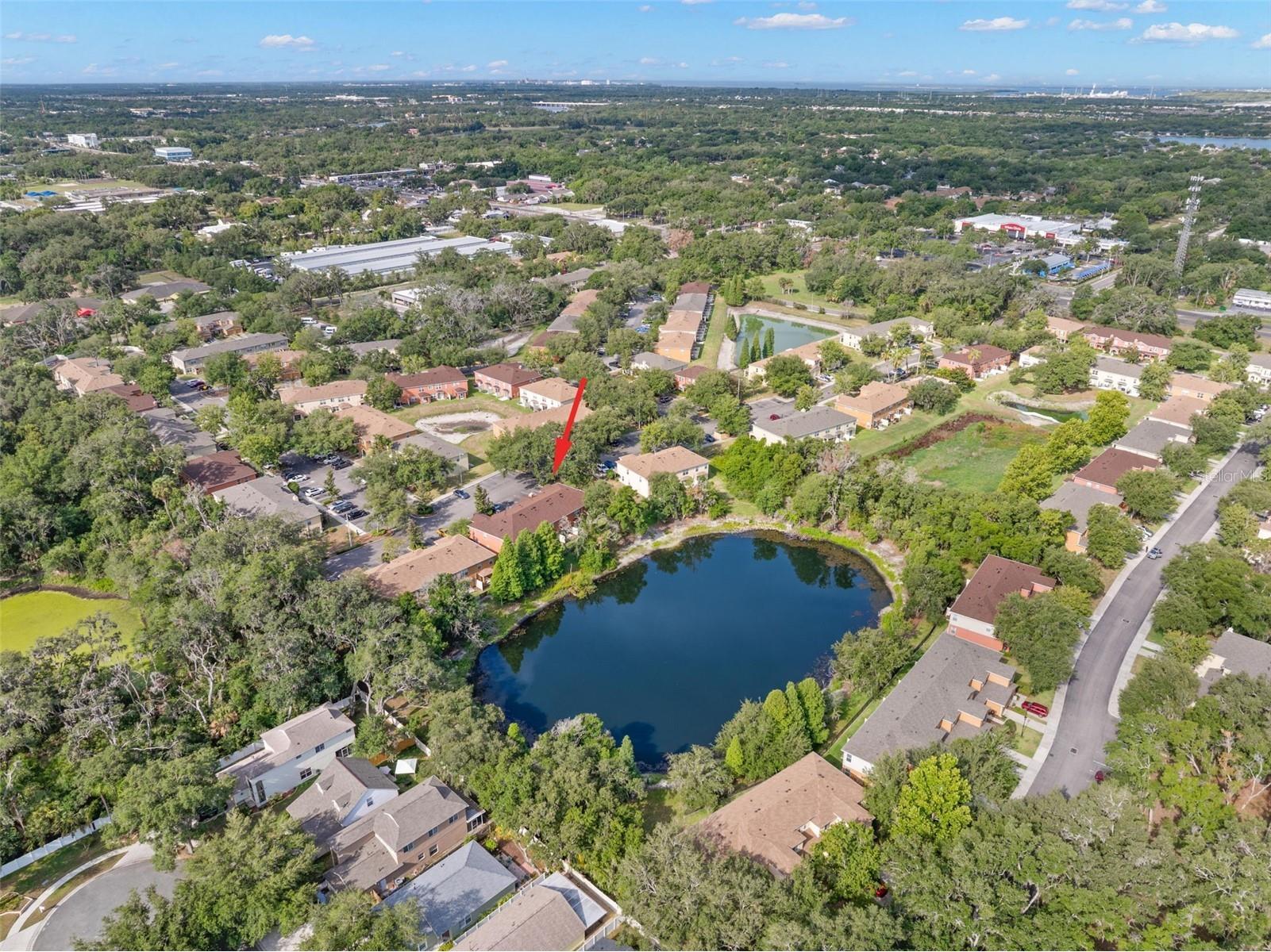 10924 Johanna Avenue Riverview FL 33578 TB8509390 image44