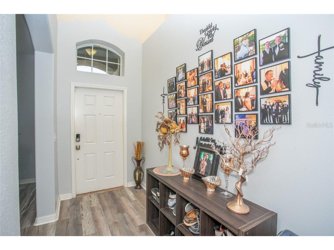 10924 Rainbow Pyrite Drive Wimauma FL 33598 TB8447734 image11