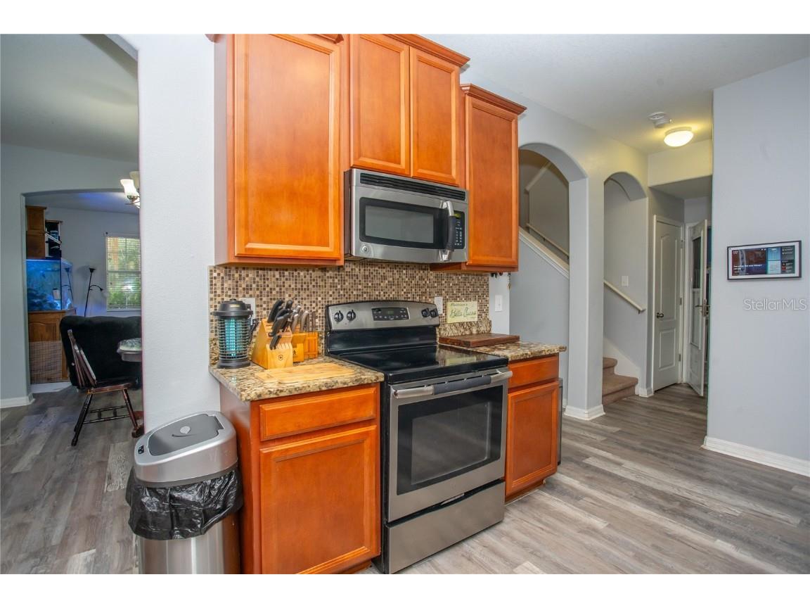 10924 Rainbow Pyrite Drive Wimauma FL 33598 TB8447734 image15