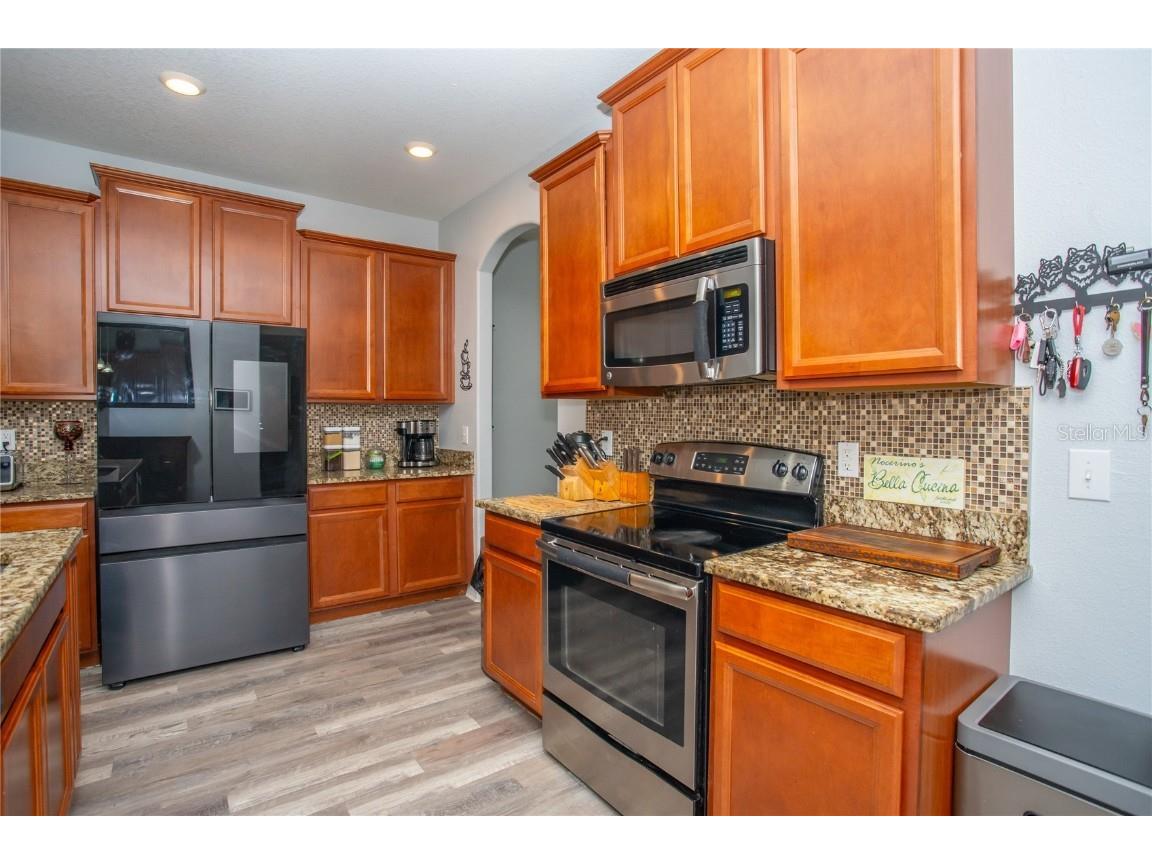 10924 Rainbow Pyrite Drive Wimauma FL 33598 TB8447734 image16