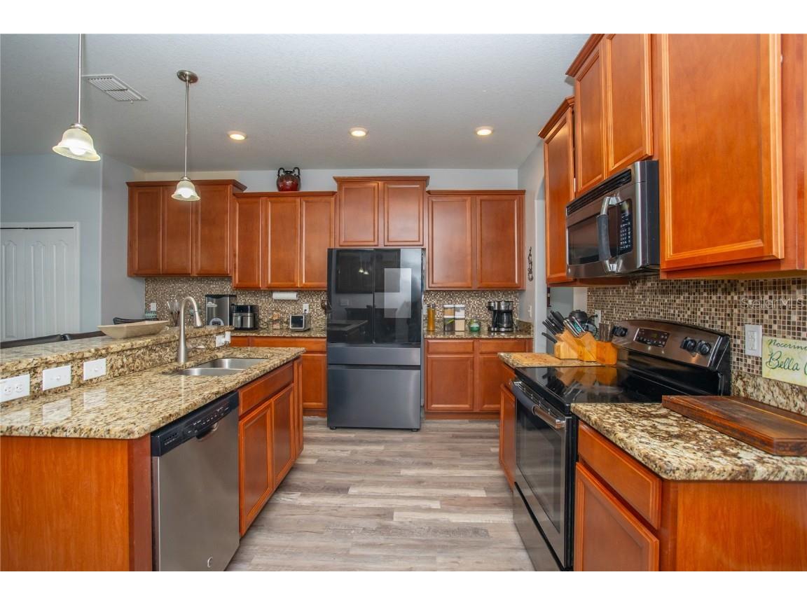 10924 Rainbow Pyrite Drive Wimauma FL 33598 TB8447734 image17