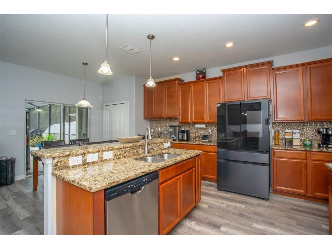 10924 Rainbow Pyrite Drive Wimauma FL 33598 TB8447734 image19