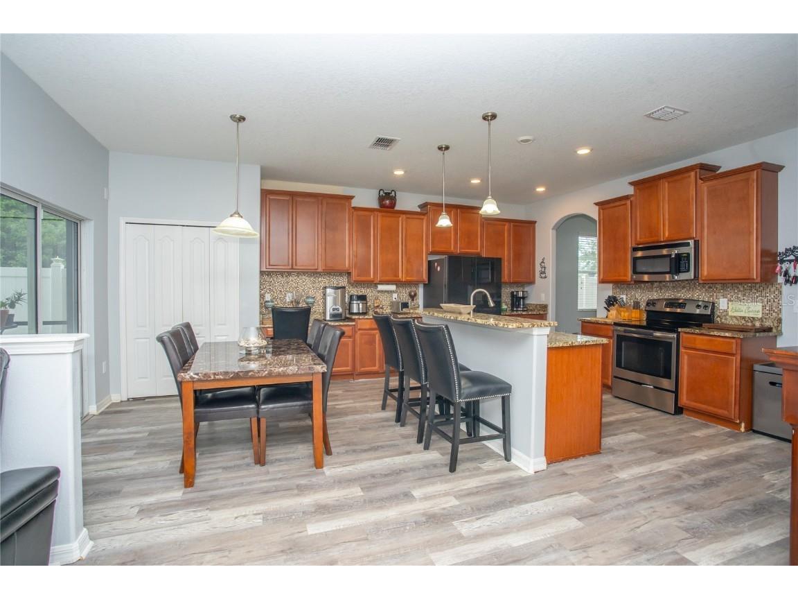 10924 Rainbow Pyrite Drive Wimauma FL 33598 TB8447734 image21