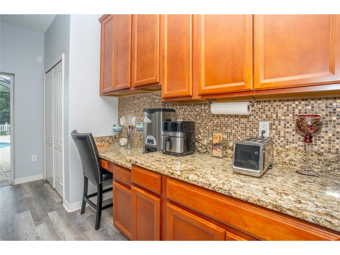 10924 Rainbow Pyrite Drive Wimauma FL 33598 TB8447734 image23