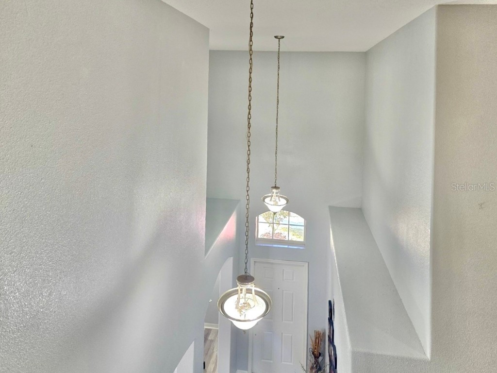 10924 Rainbow Pyrite Drive Wimauma FL 33598 TB8447734 image25