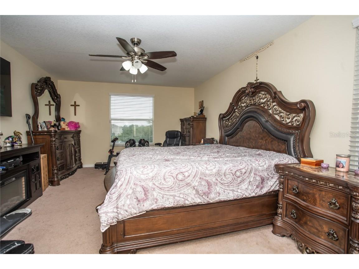 10924 Rainbow Pyrite Drive Wimauma FL 33598 TB8447734 image27