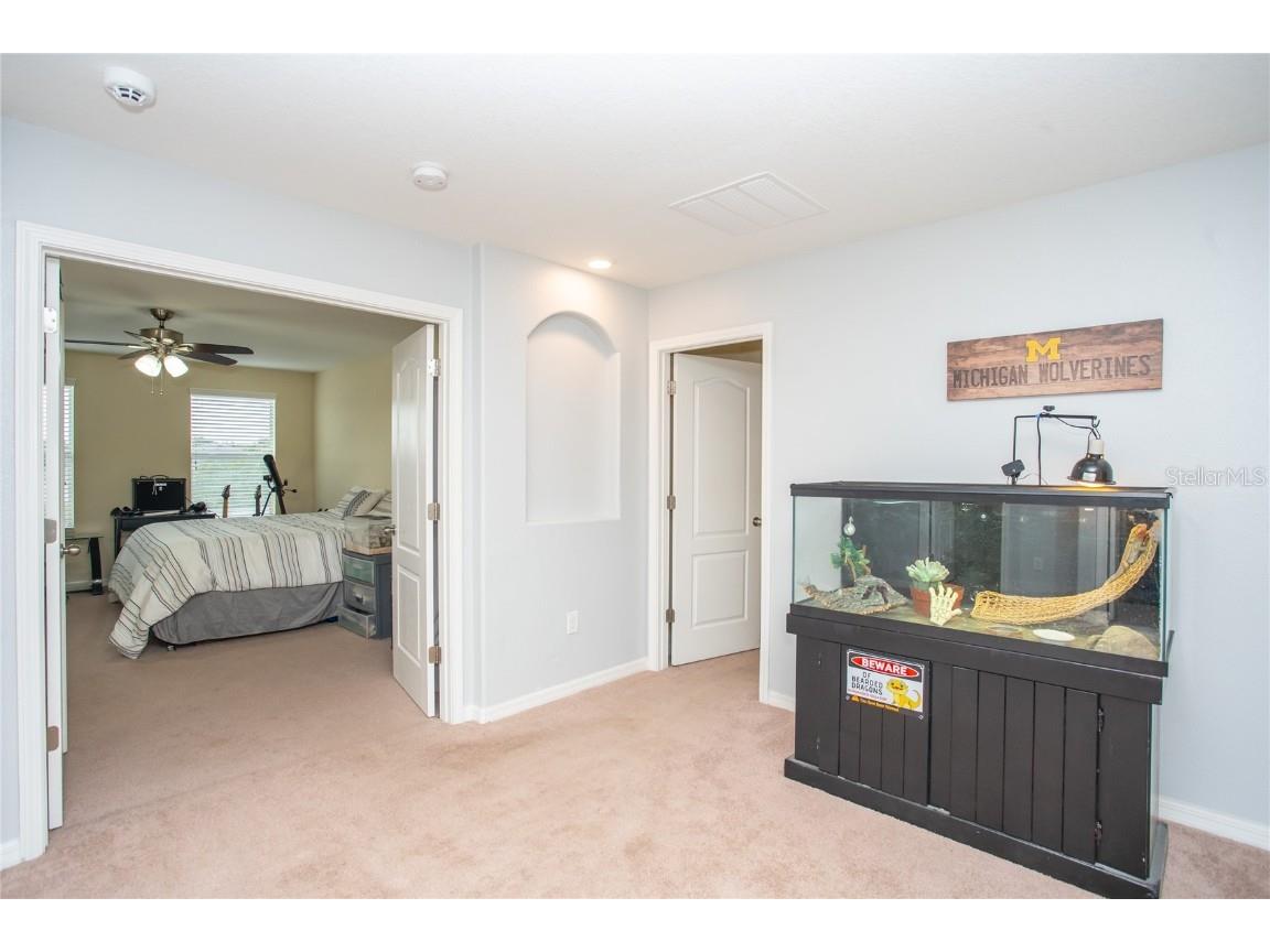 10924 Rainbow Pyrite Drive Wimauma FL 33598 TB8447734 image31