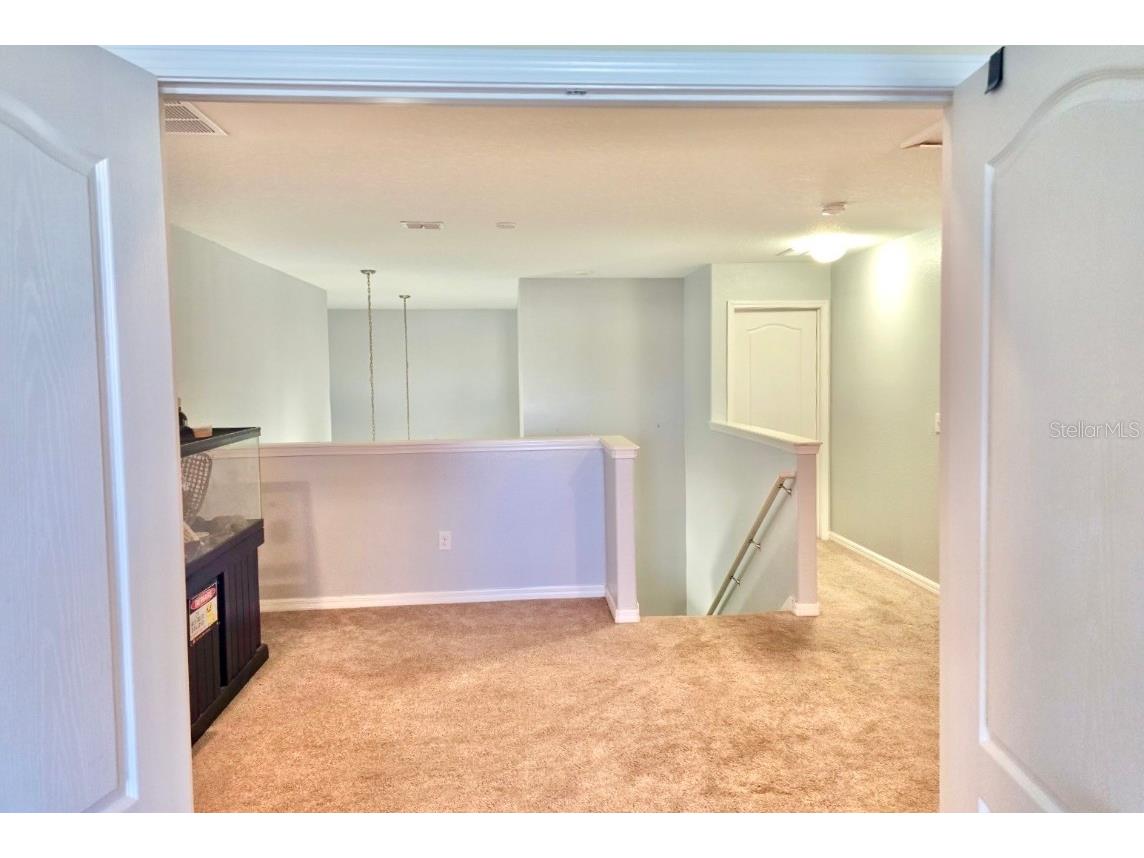 10924 Rainbow Pyrite Drive Wimauma FL 33598 TB8447734 image32