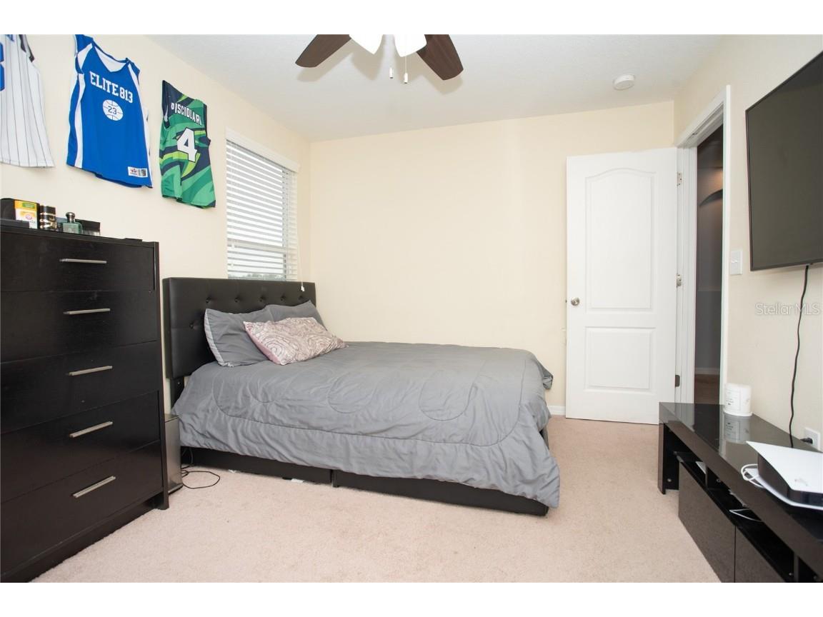 10924 Rainbow Pyrite Drive Wimauma FL 33598 TB8447734 image34