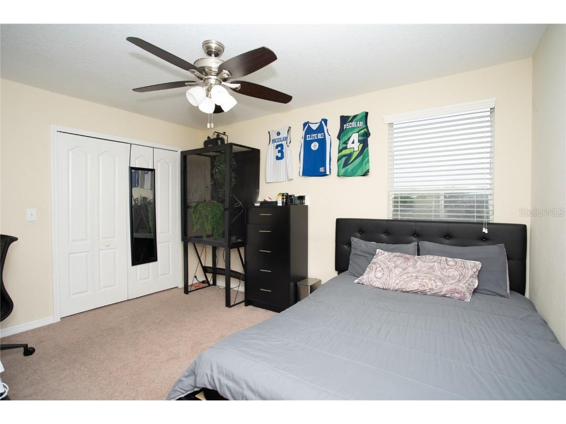 10924 Rainbow Pyrite Drive Wimauma FL 33598 TB8447734 image35