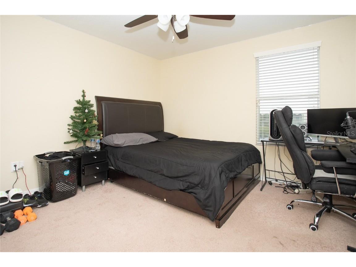 10924 Rainbow Pyrite Drive Wimauma FL 33598 TB8447734 image37