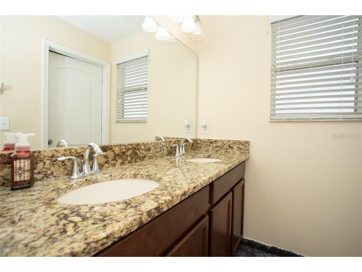 10924 Rainbow Pyrite Drive Wimauma FL 33598 TB8447734 image39