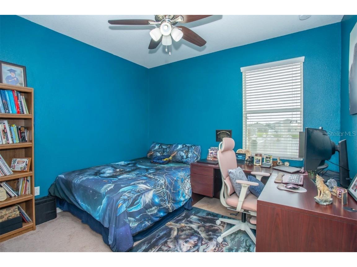 10924 Rainbow Pyrite Drive Wimauma FL 33598 TB8447734 image40