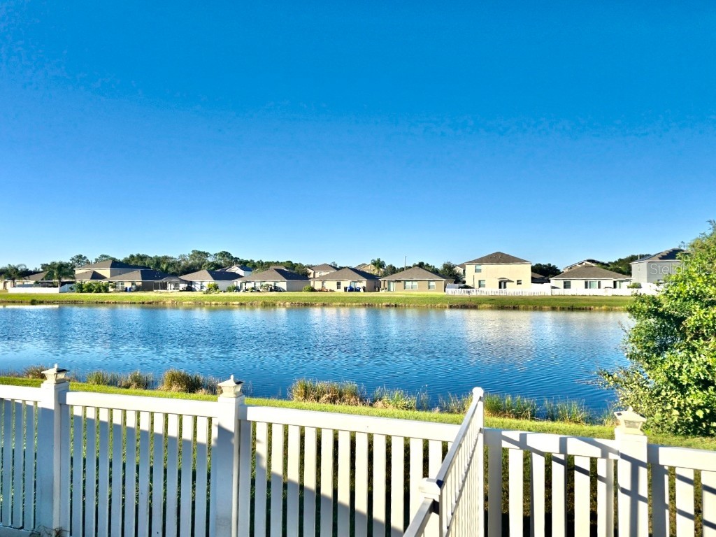 10924 Rainbow Pyrite Drive Wimauma FL 33598 TB8447734 image49