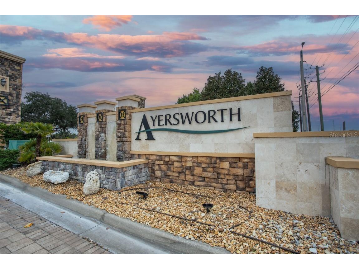 10924 Rainbow Pyrite Drive Wimauma FL 33598 TB8447734 image50