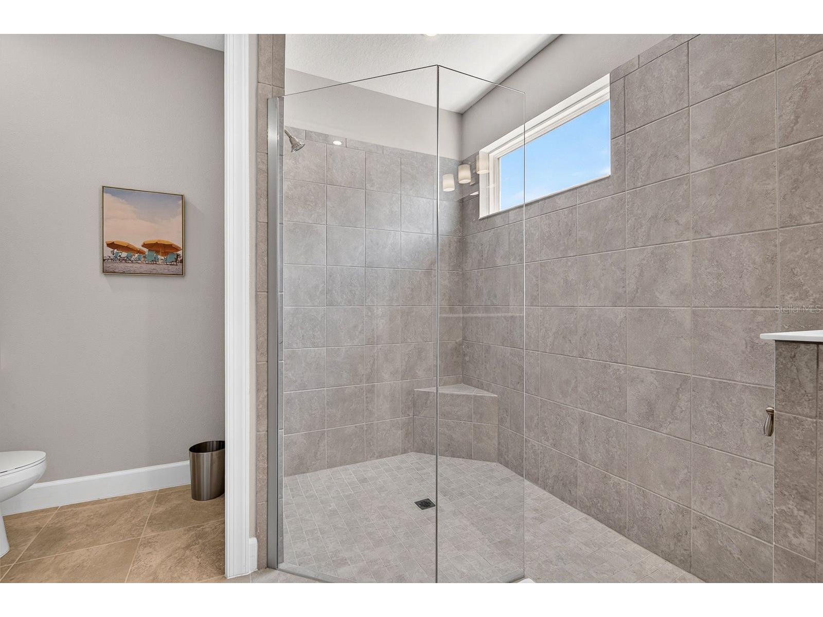 10924 Wicker Park Place Palmetto FL 34221 A4698103 image16