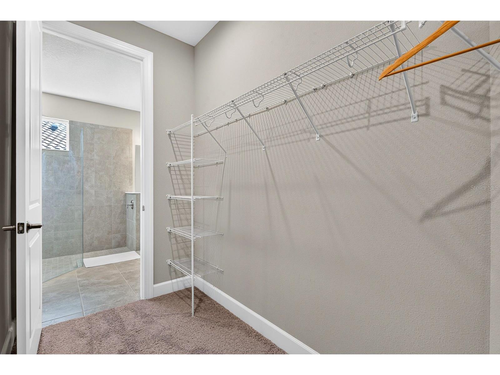 10924 Wicker Park Place Palmetto FL 34221 A4698103 image19