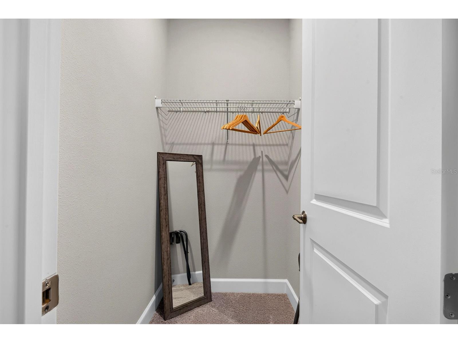 10924 Wicker Park Place Palmetto FL 34221 A4698103 image29