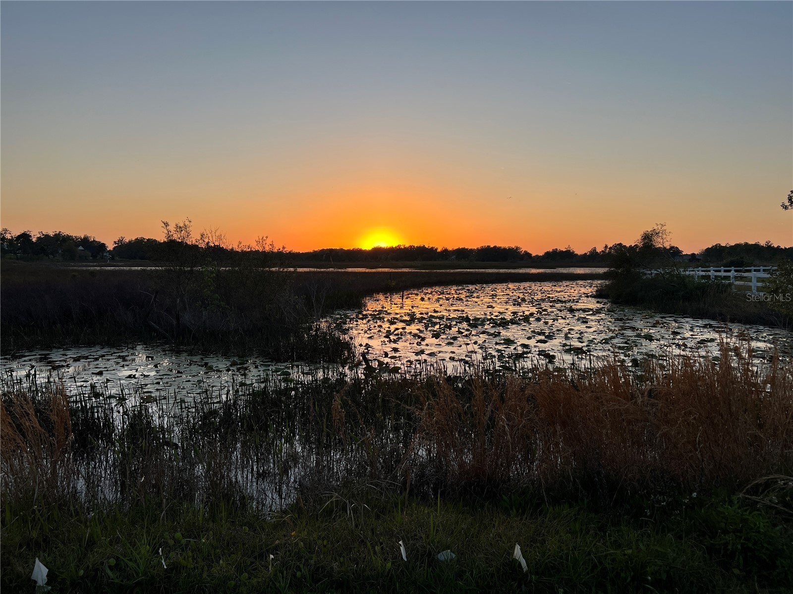 10925 Arrowtree Boulevard Clermont FL 34715 O6400160 image2