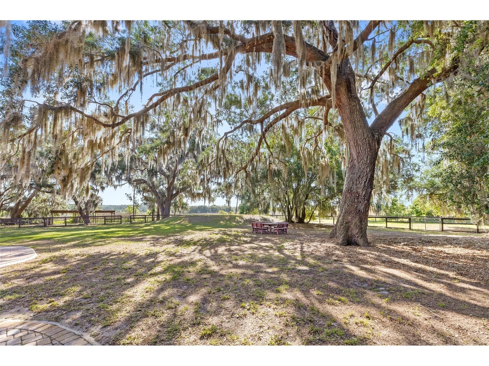 10925 Arrowtree Boulevard Clermont FL 34715 O6400160 image53