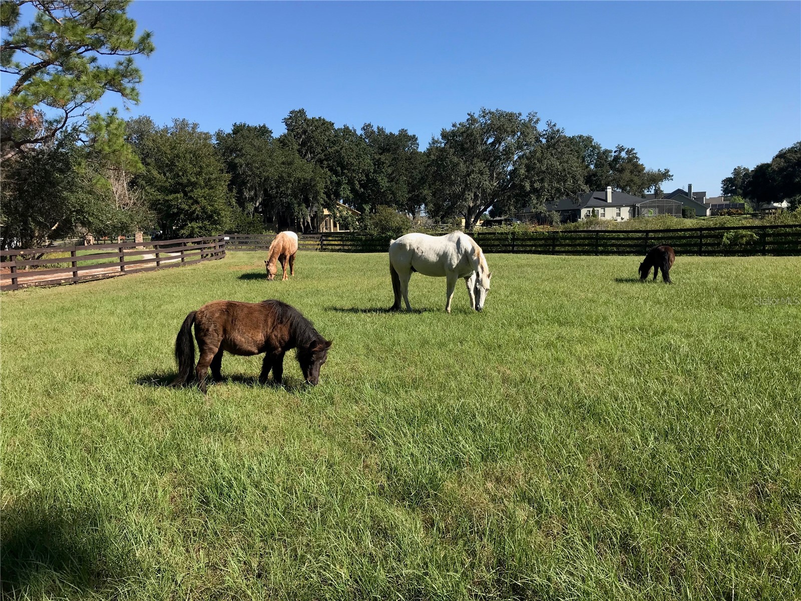 10925 Arrowtree Boulevard Clermont FL 34715 O6400160 image64
