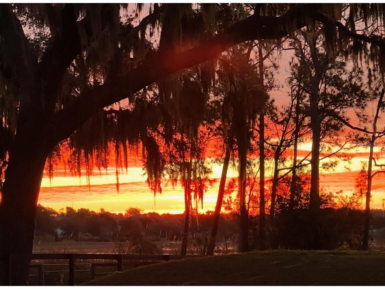 10925 Arrowtree Boulevard Clermont FL 34715 O6400160 image91