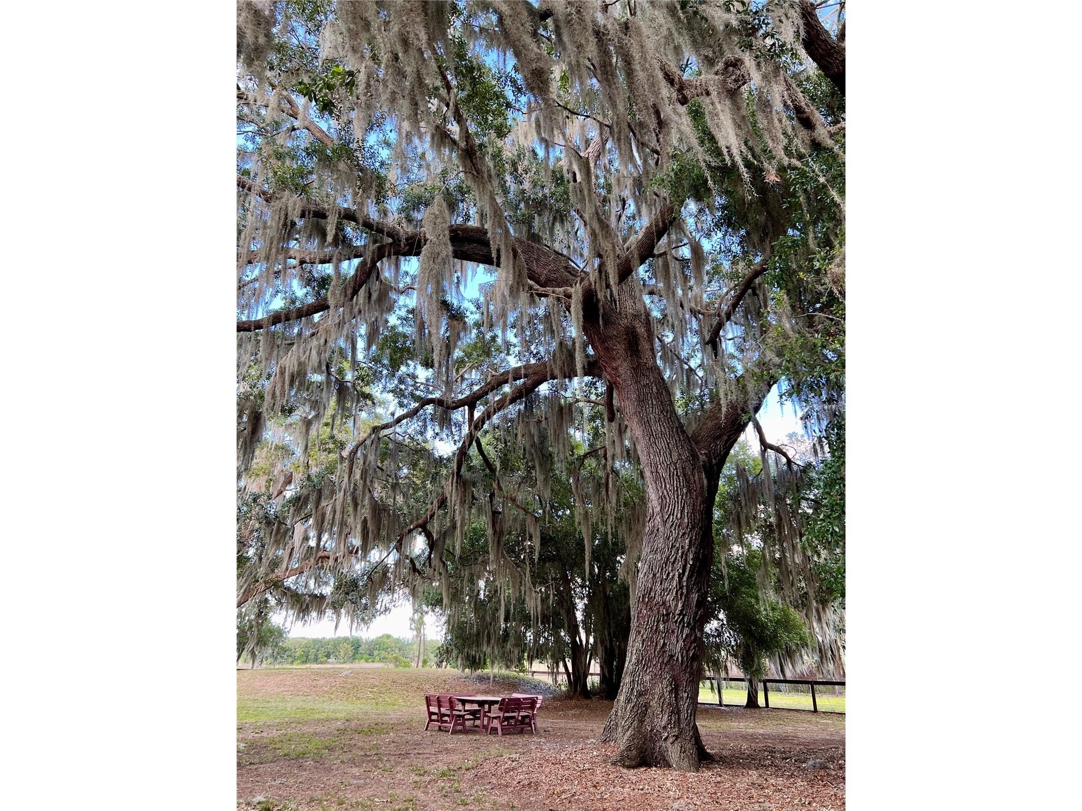 10925 Arrowtree Boulevard Clermont FL 34715 O6400160 image95