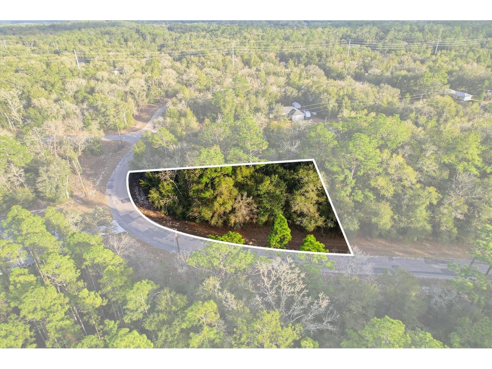 10925 N Ocean Drive Dunnellon FL 34434 TB8468938 image1
