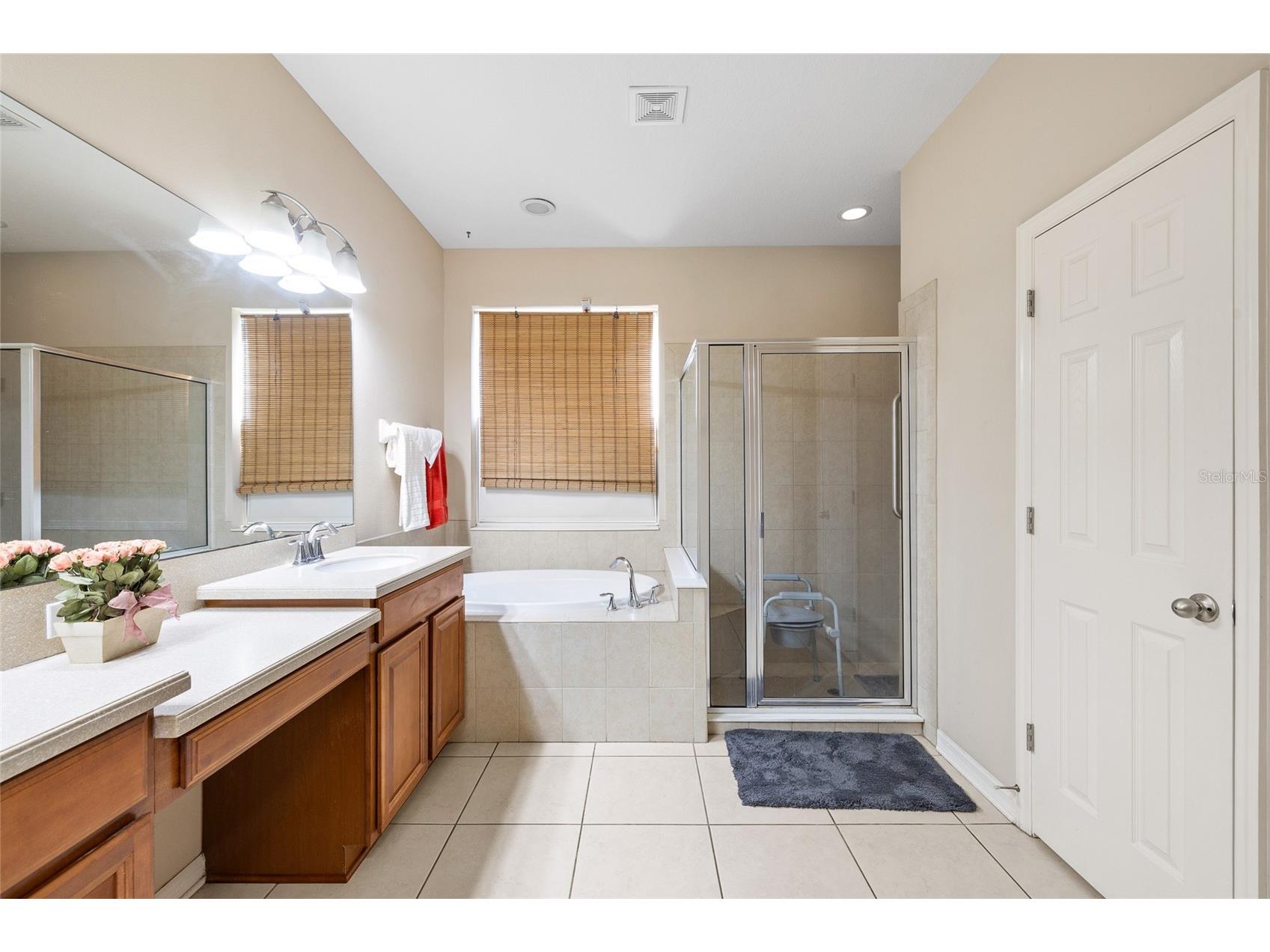 10925 Rockledge View Drive Riverview FL 33579 TB8464356 image29
