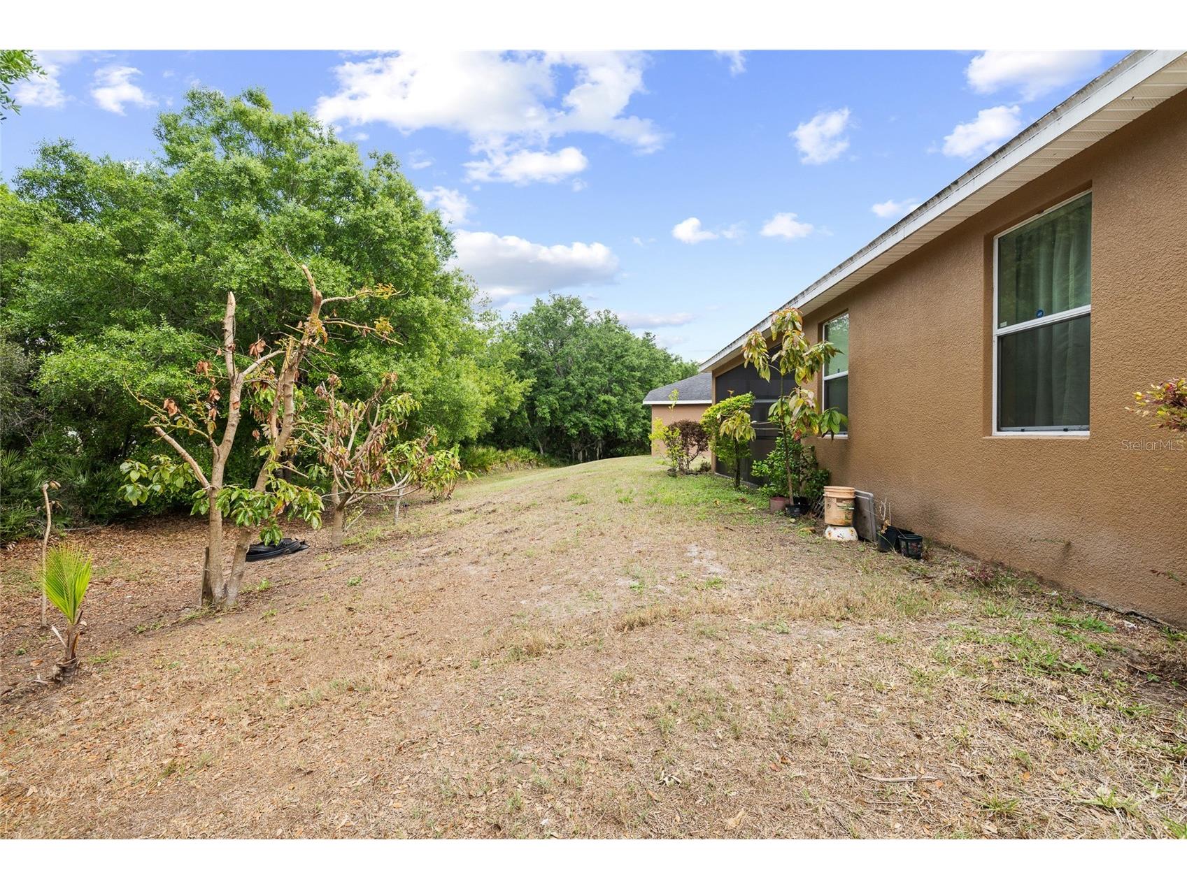10925 Rockledge View Drive Riverview FL 33579 TB8464356 image44