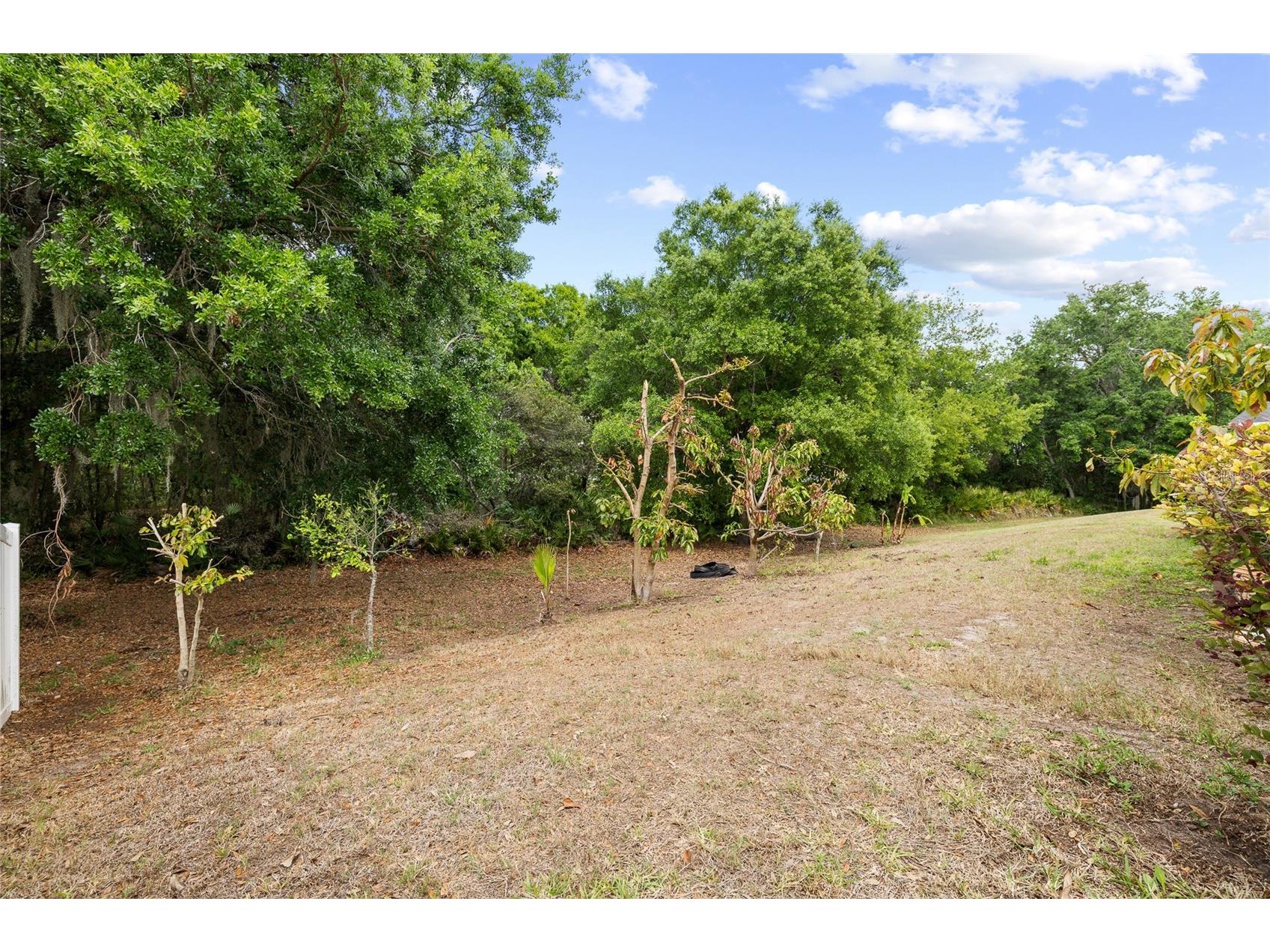 10925 Rockledge View Drive Riverview FL 33579 TB8464356 image45