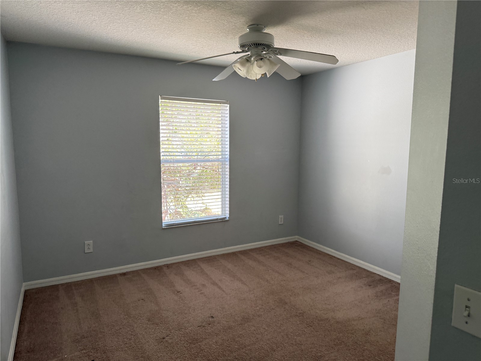 10925 Subtle Trail Drive Riverview FL 33579 TB8512161 image7